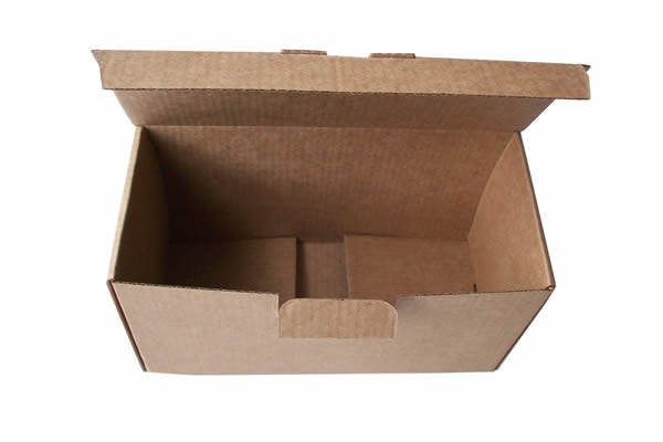 ����-������-�������-�����������