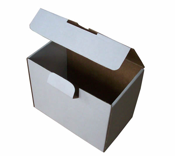 ����-������-�����������-��������-������